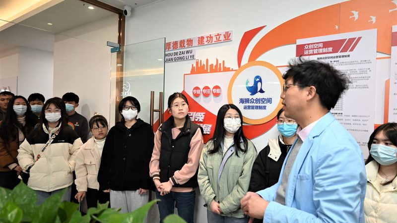 揭秘代播代运营服务：定制方案背后的价值与选择